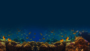 fondo del mare siracusa