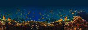 fondo mare plemmirio