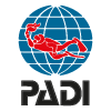 padi1