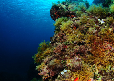 The ridge of Cape Meli